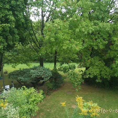 多伦多邓肯公园民宿 Toronto Duncan Park Guesthouse Exterior foto