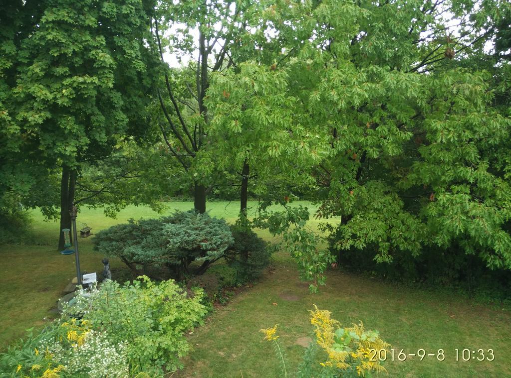 多伦多邓肯公园民宿 Toronto Duncan Park Guesthouse Exterior foto
